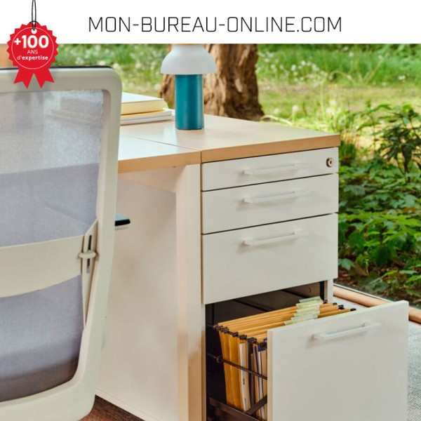 Caisson Rangement Bureau 6 Tiroirs Métal - Meuble Industriel Mobile 41x28x69cm