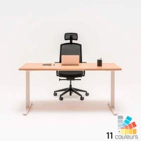 Bureau professionnel - Ogi T