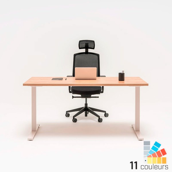 Bureau professionnel - Ogi T