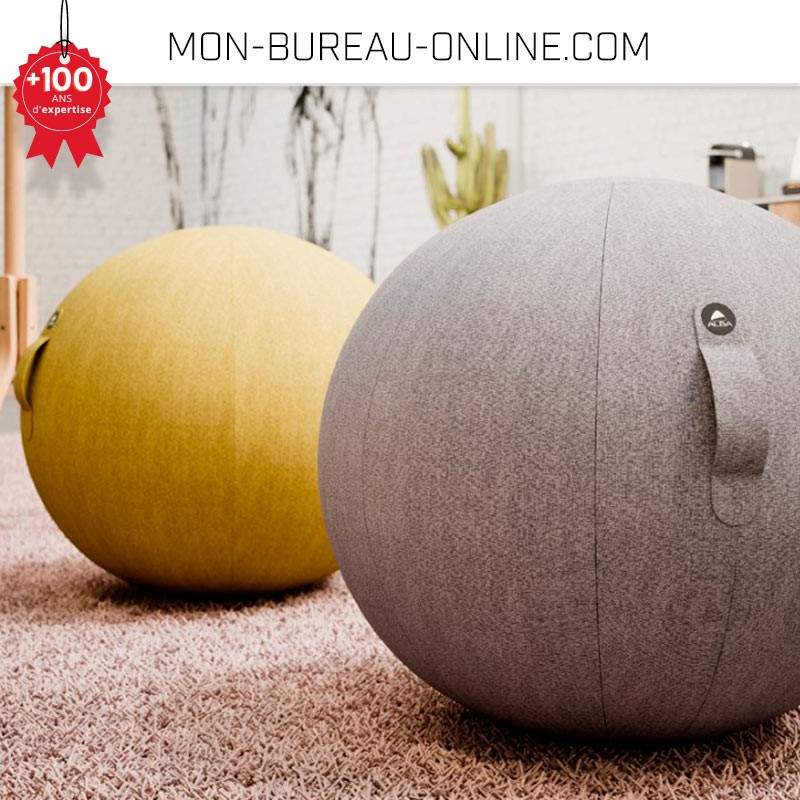 Siège Ballon Ergonomique HardBold - Anti Mal De Dos - Taille 55/65cm - Idéal Télétravail