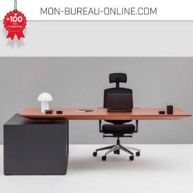 bureau de direction design