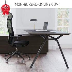 Bureau de direction avec meuble de rangement