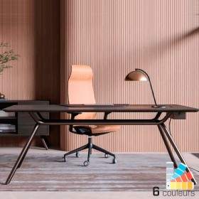 Bureau de direction Haut de gamme