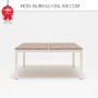 Bureau double Ogi U