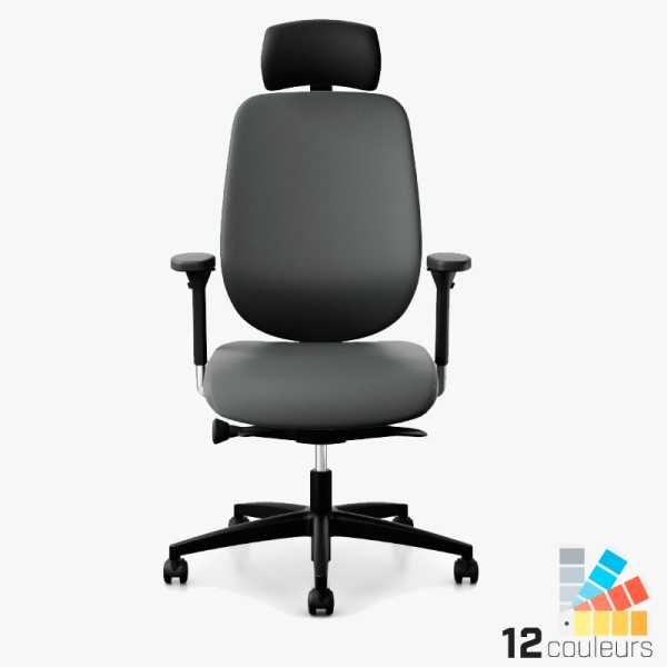 Siège de bureau en cuir - Accoudoir + appui-tête - Giroflex 353