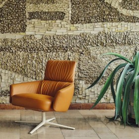 Fauteuil en cuir professionnel