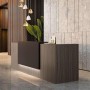 Banque d'accueil haut de gamme Design lumineuse