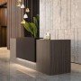 Banque d'accueil haut de gamme Design lumineuse