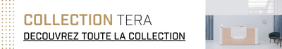Banque d'accueil Tera