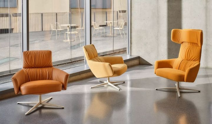 Fauteuil de la Collection Toro