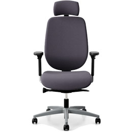 Fauteuil de bureau ergonomique avec soutien lombaire 353