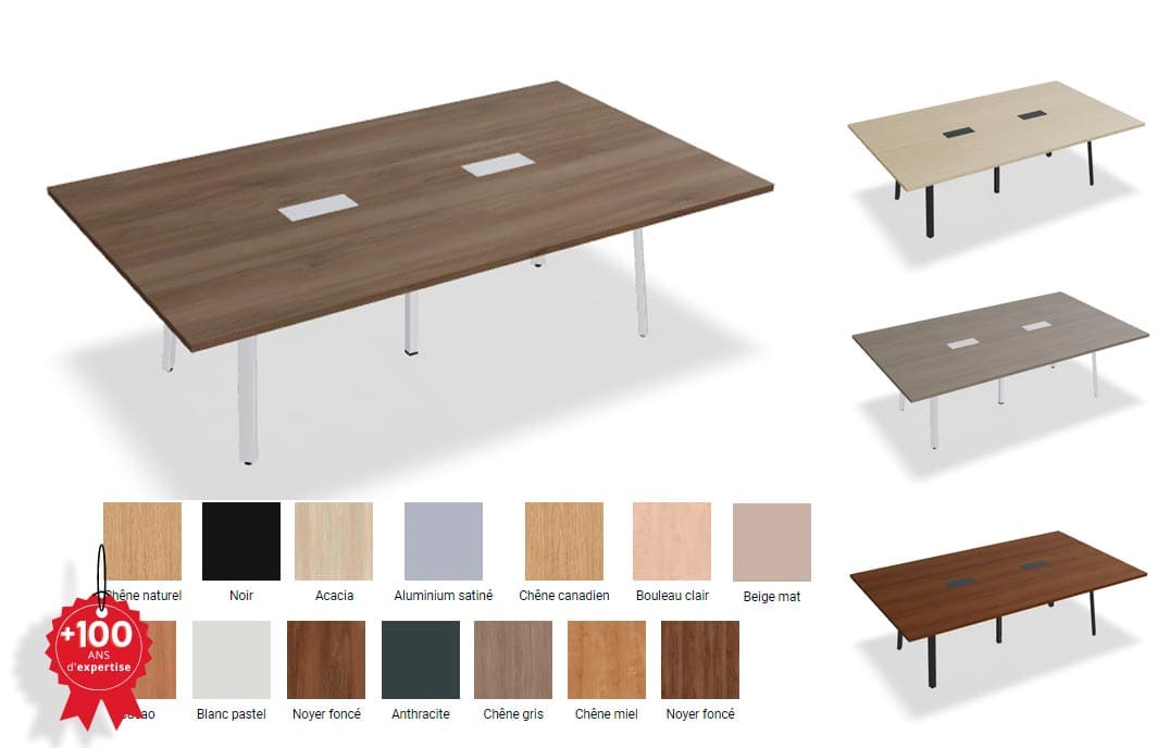Table de réunion Rectangle pour 10 personnes