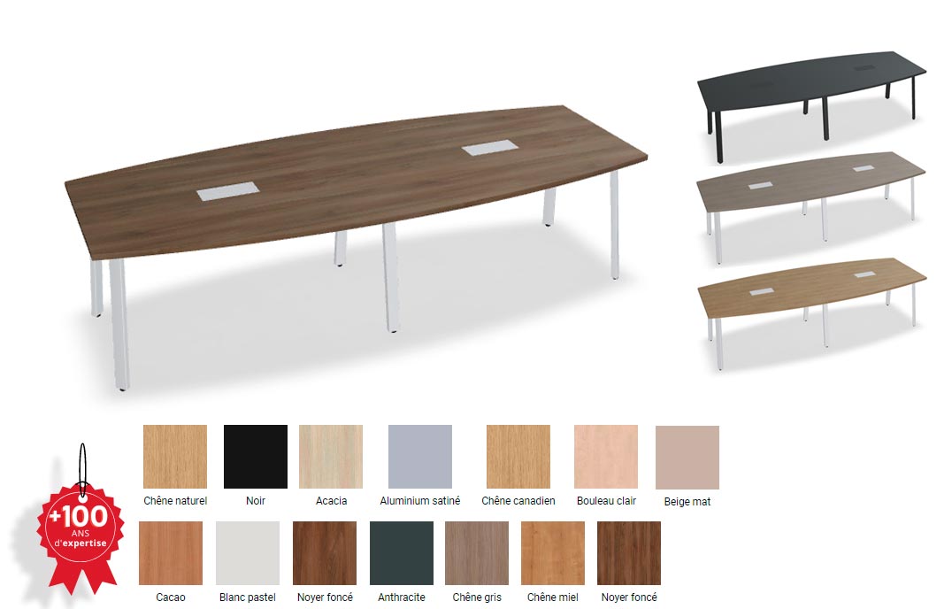 Table de réunion Rectangle ou Tonneau pour 10 personnes